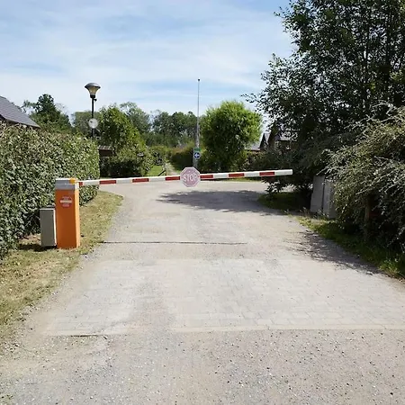 Le Boxon